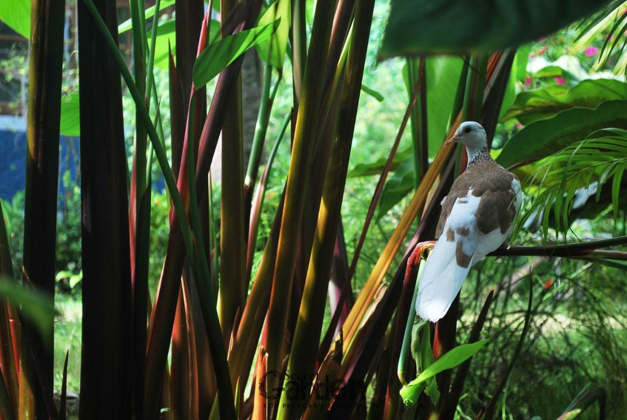 Hotel Secret Garden 3*